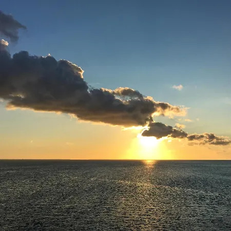 Meerkieker 49 5 N Schillig