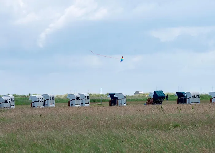 Daire Meerkieker 49 5 N Schillig